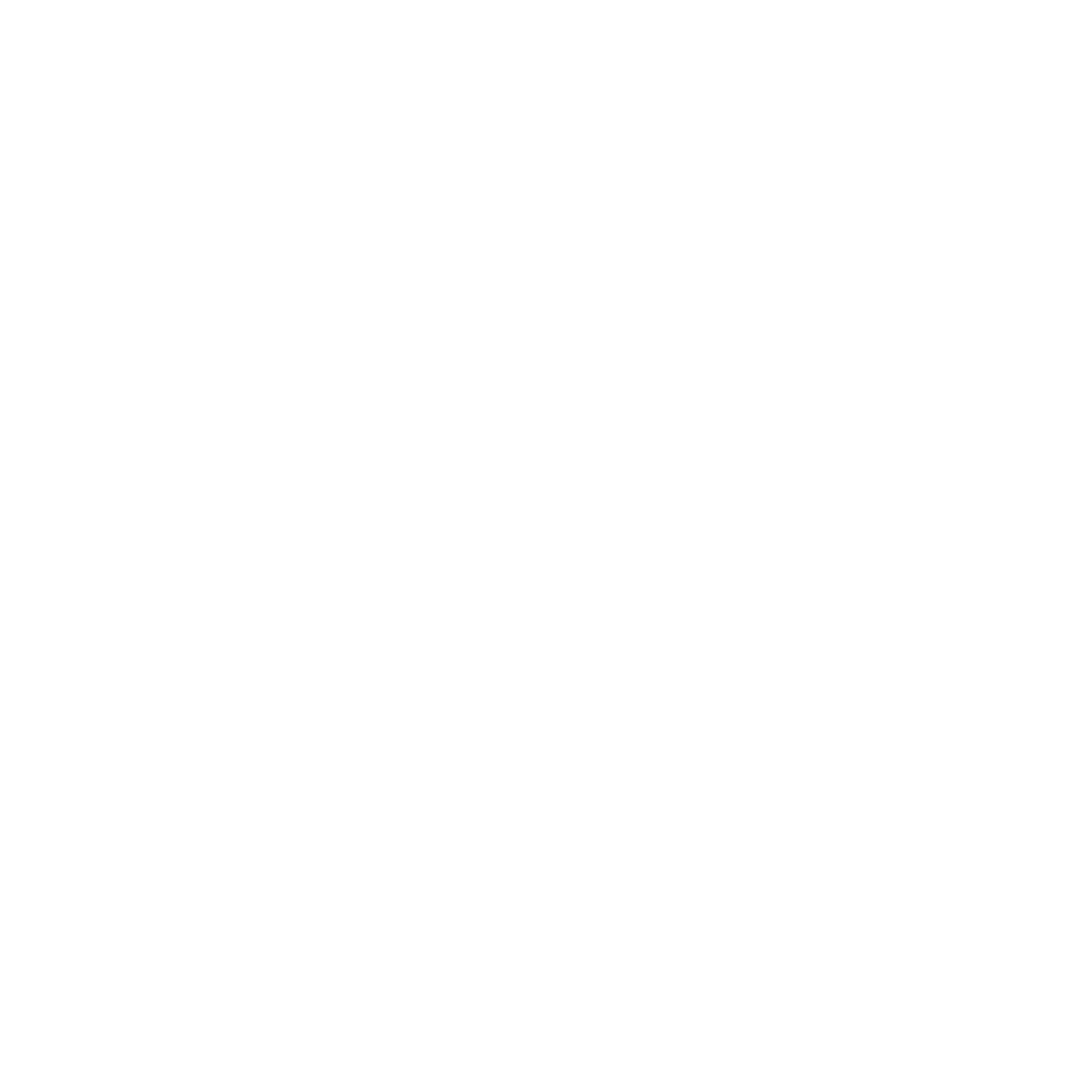 Torza Mag white logo